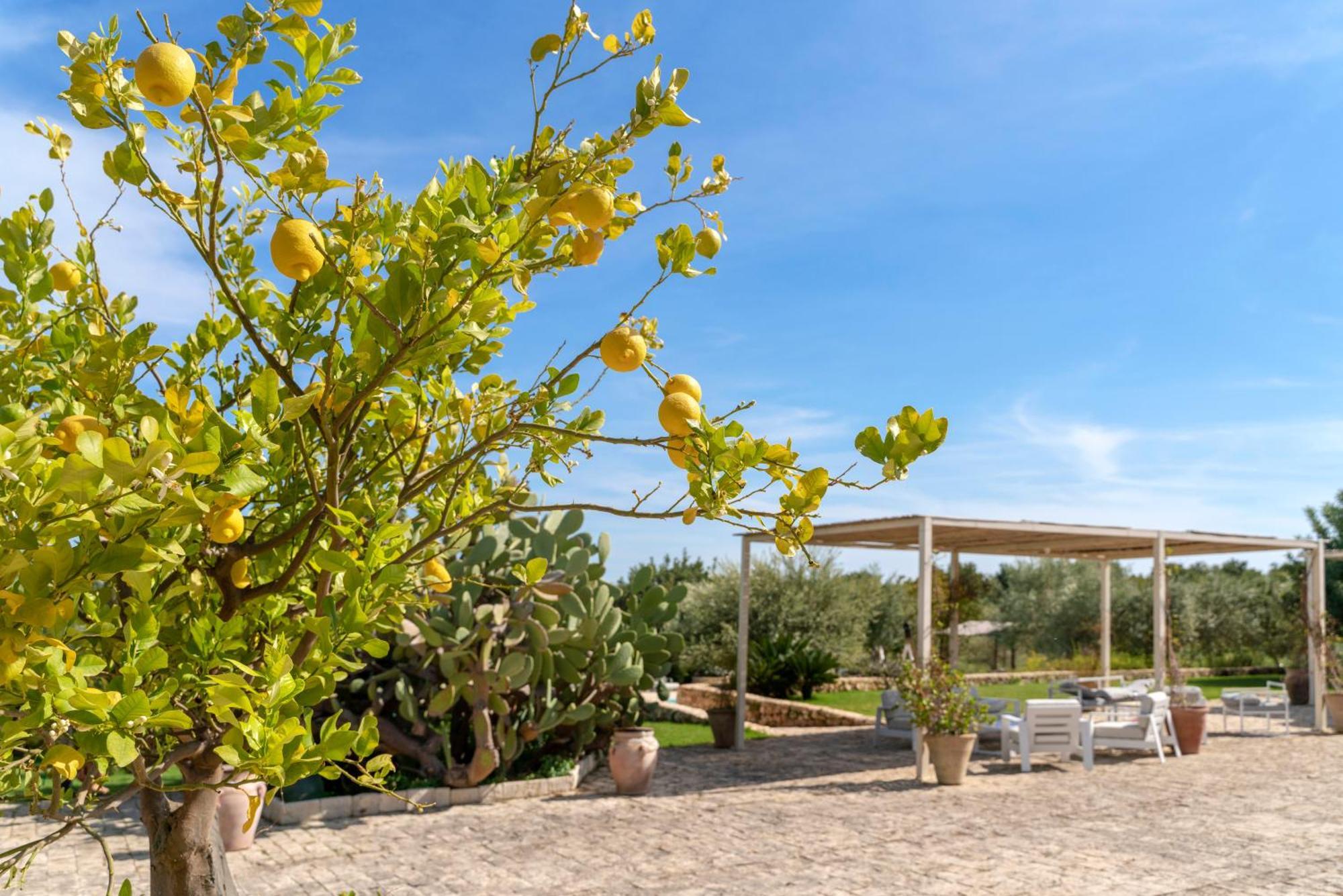 Baglio Donna Concetta Villa Noto Exterior photo